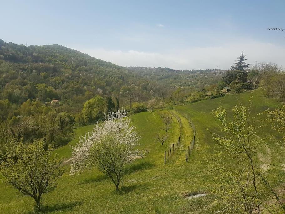 Casa Vacanza Mattirolo - Castagneto Po Dış mekan fotoğraf